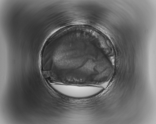 X0000093491179200711020946