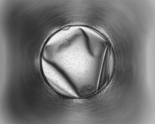 X0000093491181200711020946