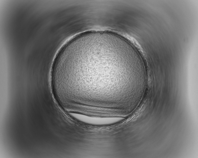 X0000093491183200711020946