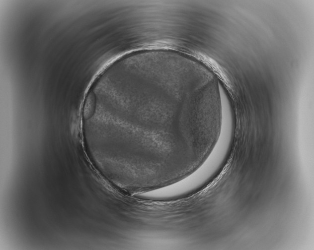 X0000093491184200711020946