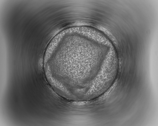 X0000093491185200711020946