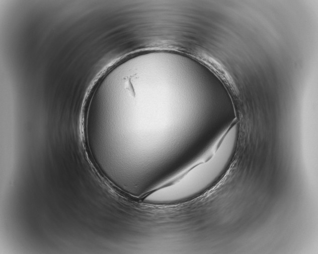 X0000093491188200711020946