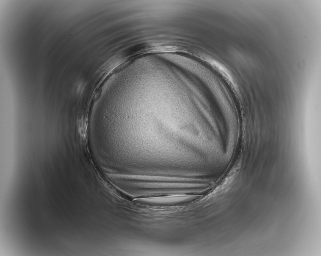 X0000093491193200711020946