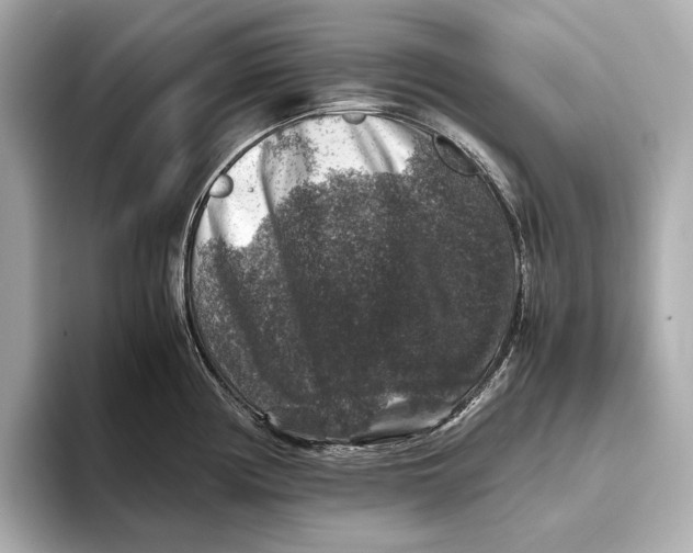 X0000093491194200711020946