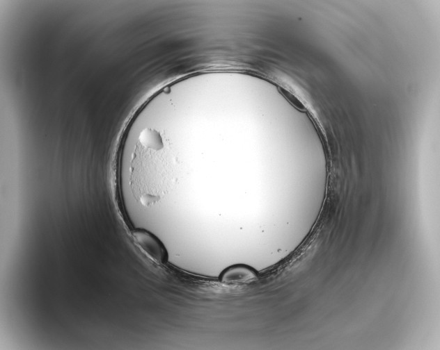 X0000093491195200711020946