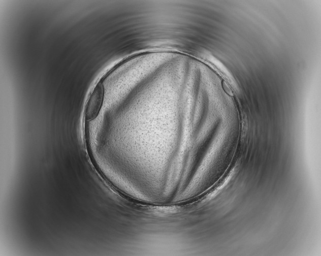 X0000093491196200711020946