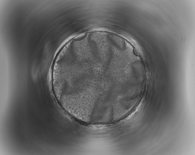 X0000093491198200711020946