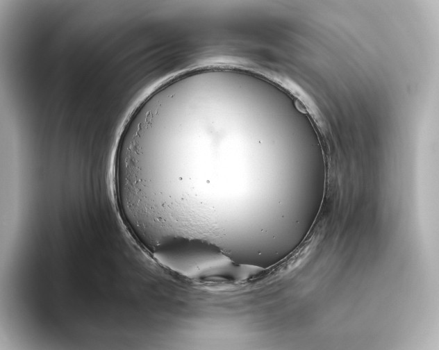 X0000093491199200711020946