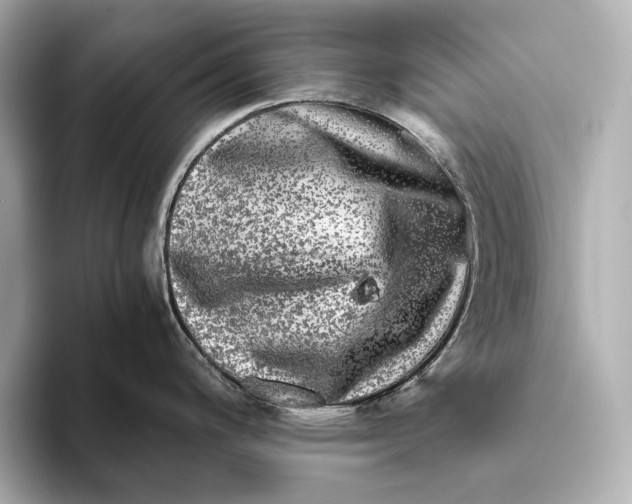 X0000093491200200711020946