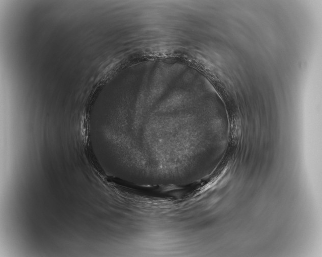 X0000093491202200711020945