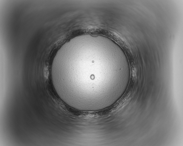 X0000093491204200711020945