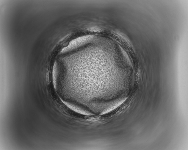 X0000093491205200711020945