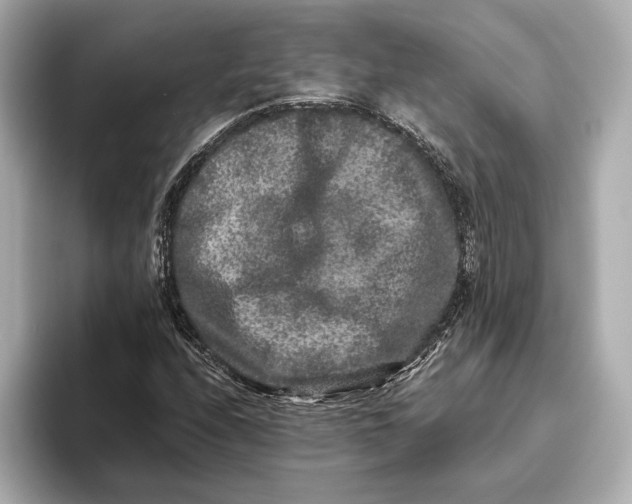 X0000093491208200711020945