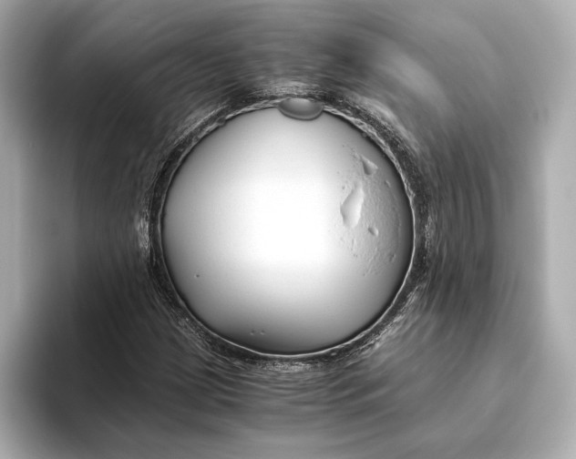 X0000093491209200711020945