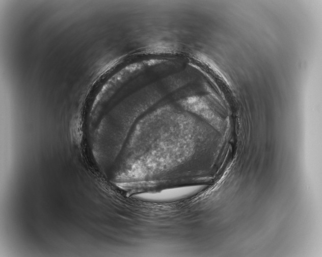 X0000093491213200711020945