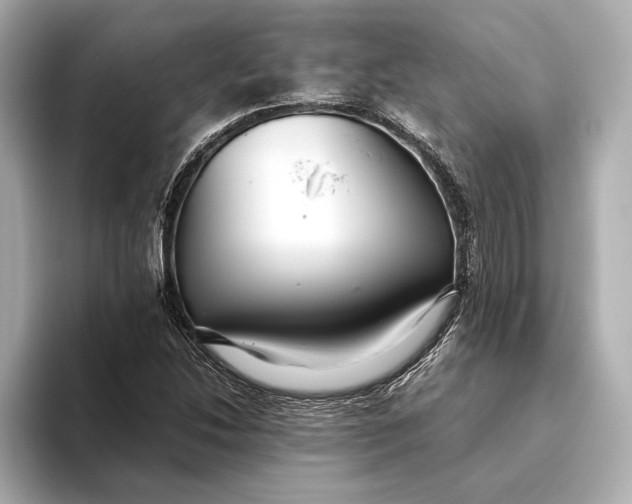 X0000093491214200711020945