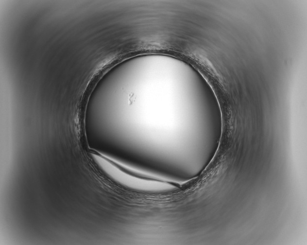 X0000093491218200711020945