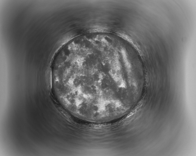 X0000093491219200711020945