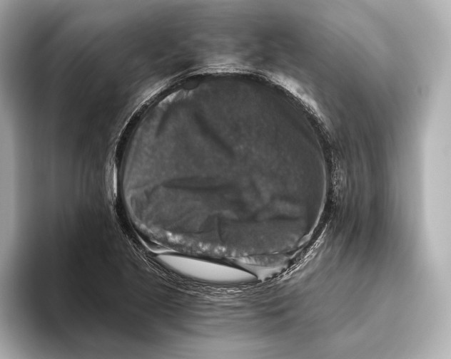 X0000093491221200711020945