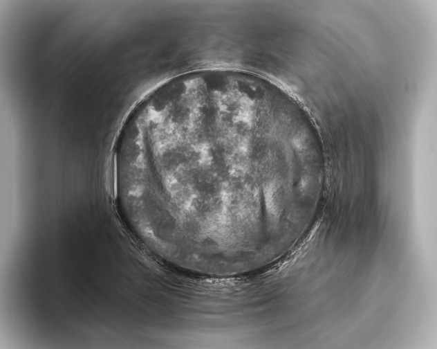 X0000093491223200711020945