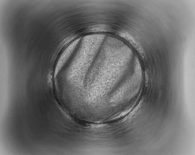 X0000093491225200711020945