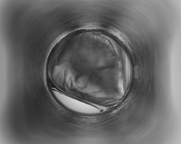 X0000093491229200711020945