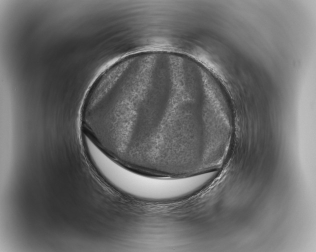 X0000093491230200711020945