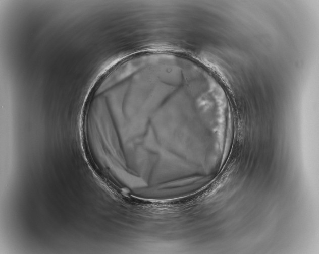 X0000093491231200711020945