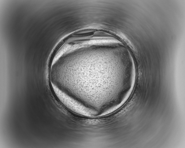 X0000093491232200711020945