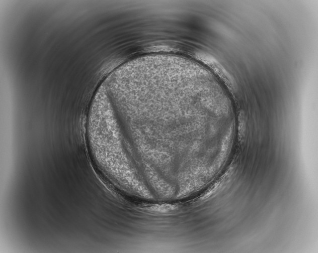 X0000093491233200711020945