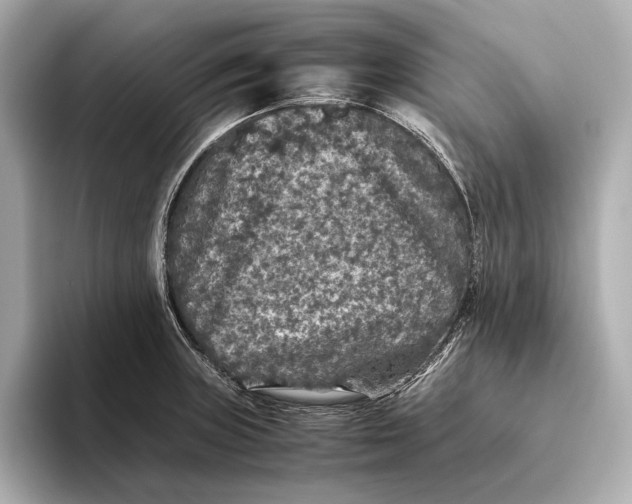 X0000093491235200711020945