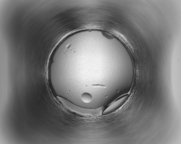 X0000093491236200711020945