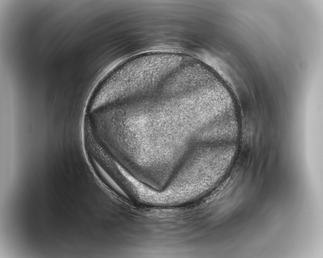 X0000093491237200711020945