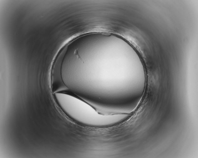 X0000093491238200711020945