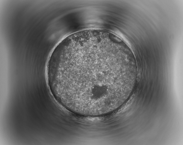 X0000093491243200711020945