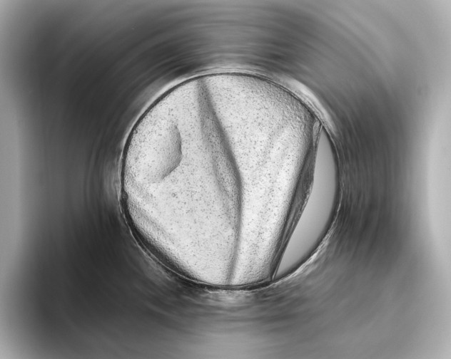 X0000093491244200711020946