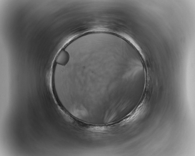 X0000093491245200711020946