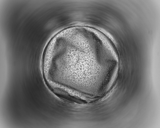 X0000093491247200711020946