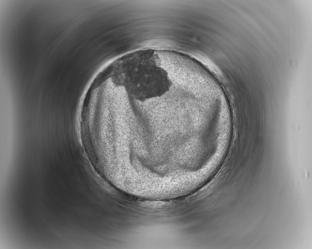 X0000093491248200711020946