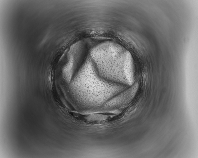 X0000093491250200711020945