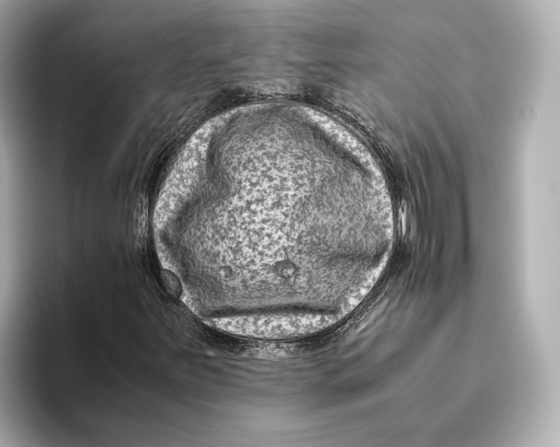 X0000093491251200711020945