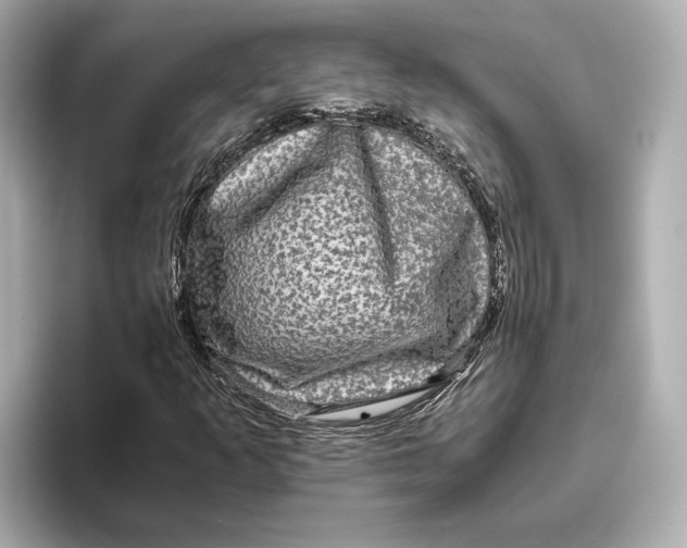 X0000093491253200711020945