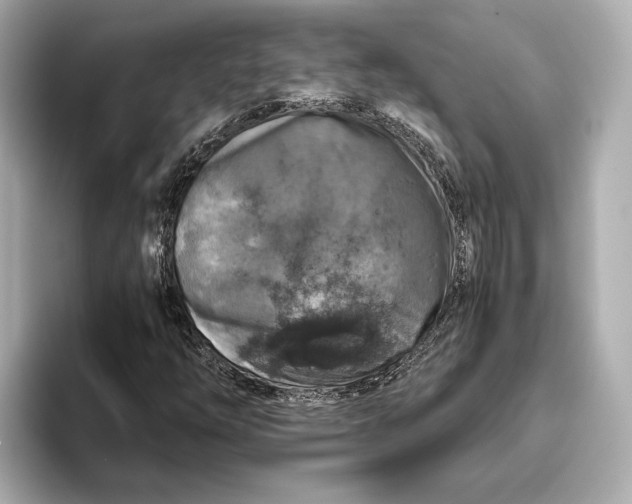 X0000093491254200711020945