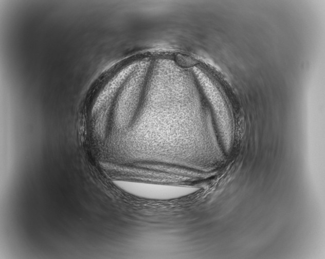 X0000093491255200711020945