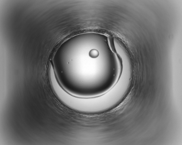 X0000093491257200711020945