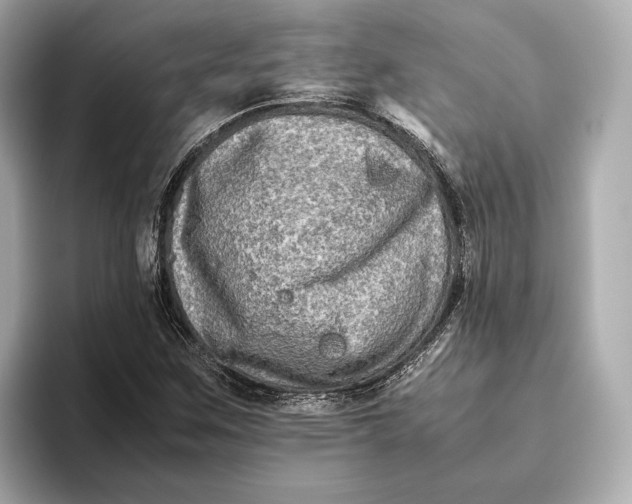 X0000093491259200711020945