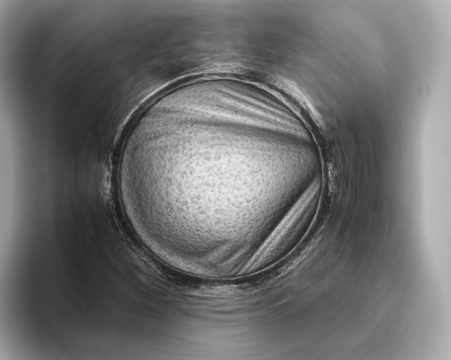 X0000093491260200711020945