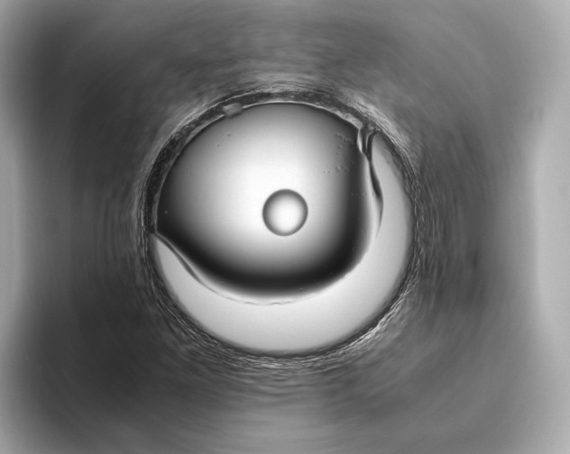 X0000093491261200711020945