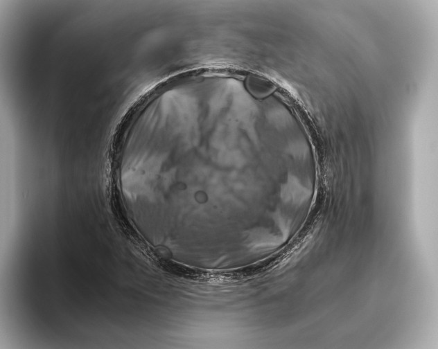 X0000093491263200711020945