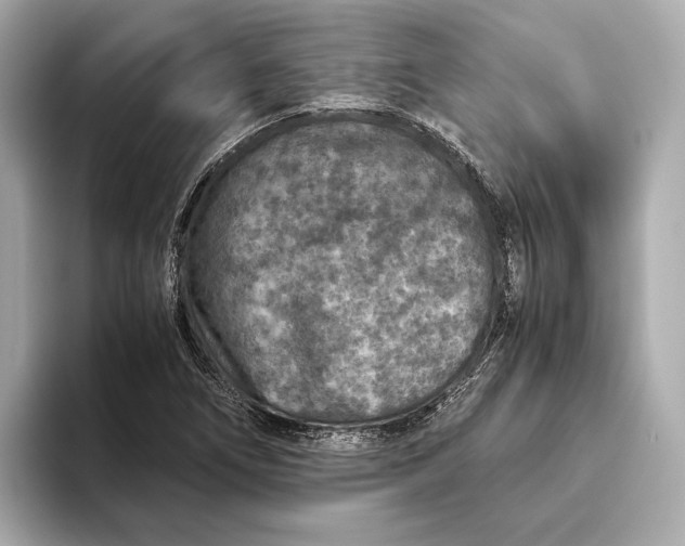 X0000093491266200711020945